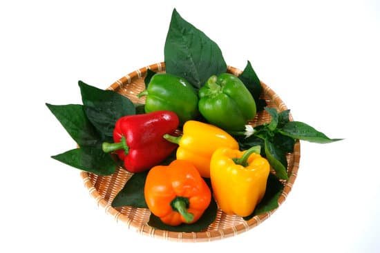 canva paprika MADAD3BYnNM
