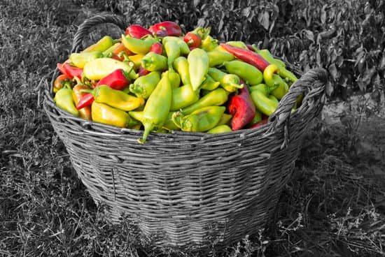 canva paprika MADAfCc8 hw