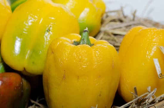 canva paprika MADB7 HPdpo