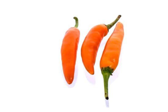 canva paprika MADBeq WRjg