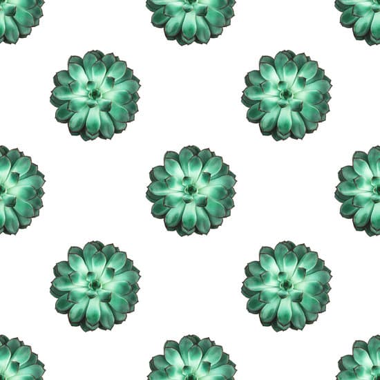 canva pattern of green succulent flowers on white background MAEQcXokeg4