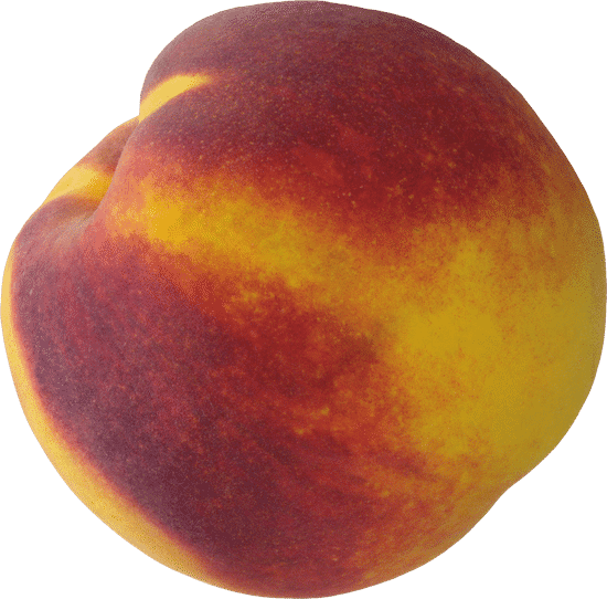 canva peaches MAEfqfryWQ4