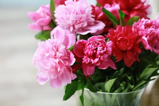 canva peony bouquet in vase MAD Q bd9kI