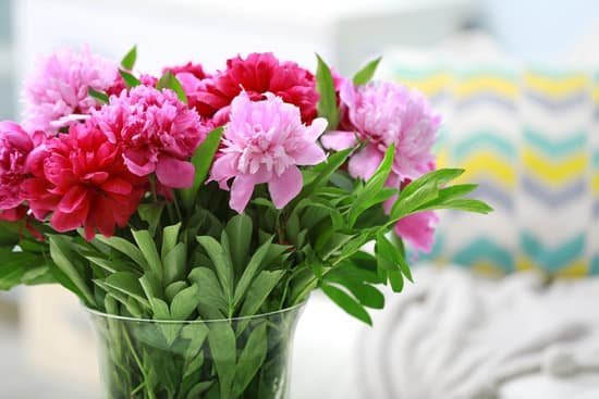 canva peony bouquet in vase MAD QwsLrfk