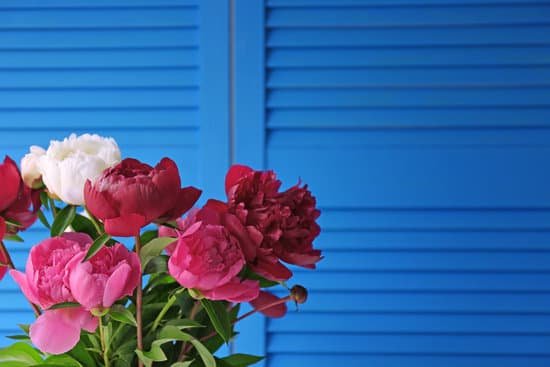 canva peony bouquet on blue folding screen background MAD Q SzG0w