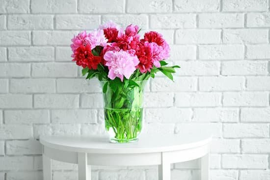 canva peony bouquet on brick wall background MAD Q18MCsQ