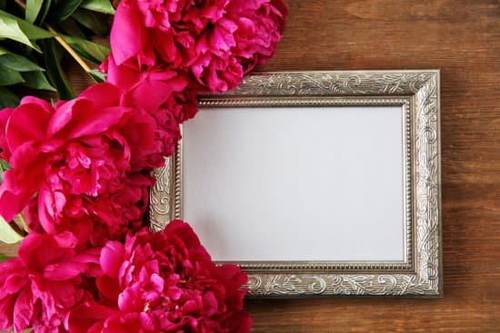 canva peony flower and empty frame on wooden background MAD