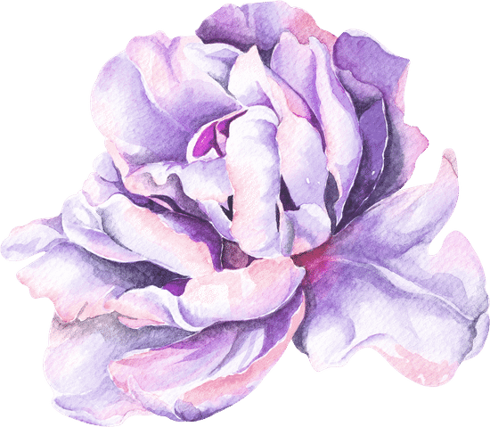 canva peony flower watercolor illustration MAEPv wRVpI