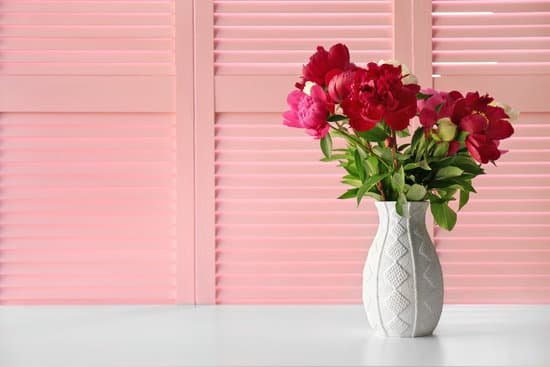 canva peony flowers on pink folding screen background MAD Q3Oh eA