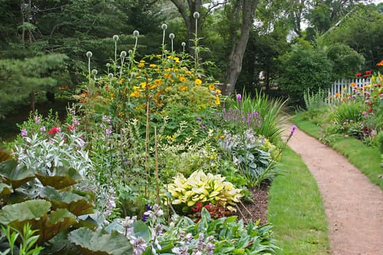 canva perennial beds MAC51FG Ipc