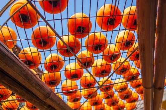 canva persimmon drying under the sun MAEEulyC7Z8