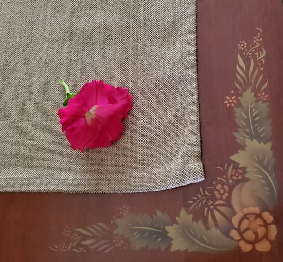 canva petunia MAEERti dIM