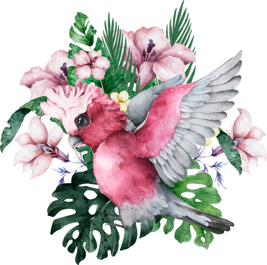 canva pink and grey cockatoo parrot and floral exotic illustration MAEHnOVQokw