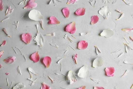 canva pink and white peony petals MAD9bZrjn2Q
