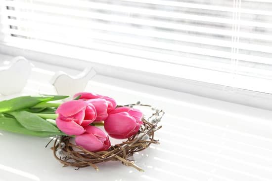 canva pink beautiful tulips on windowsill MAD MJeKhPo