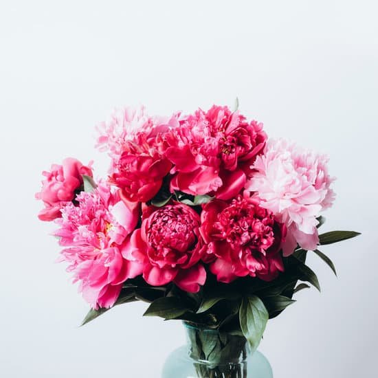 canva pink peonies in a vase MAD HvF3fPE