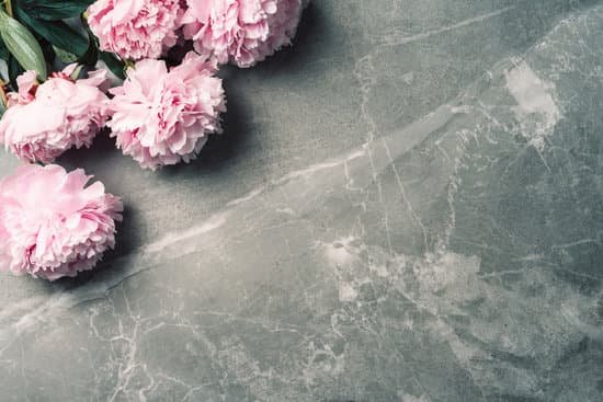 canva pink peonies on marble background MAEGyfh9VWY