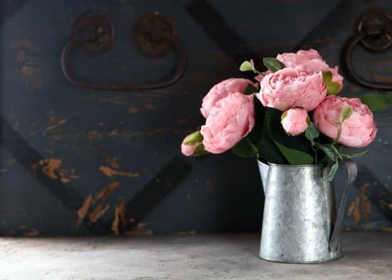 canva pink peonies on metal watering can MAEBdzODnO4