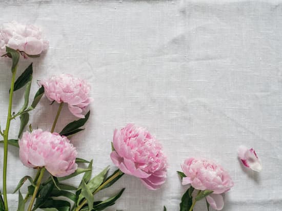 canva pink peonies on white tablecloth MAEOz7fFfjA