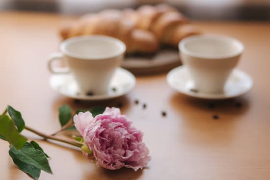 canva pink peony flower on table MAERFR9Lsbk