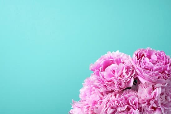 canva pink peony flowers on blue background MAEGyYqWqXM