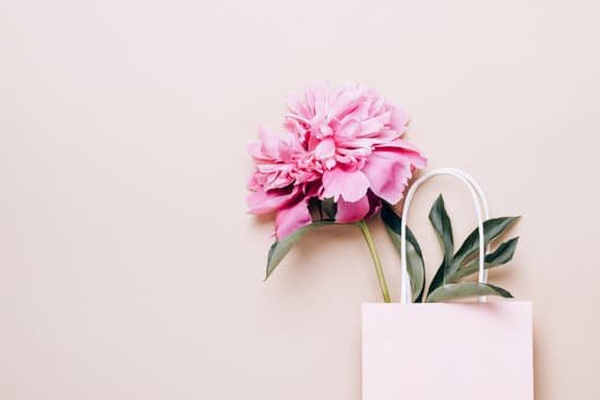 canva pink peony in paper bag MAD JSyIruI