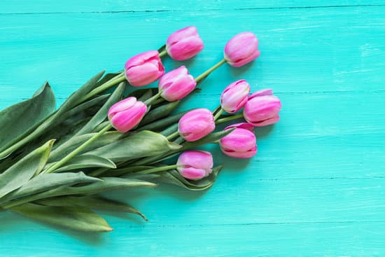 canva pink tulips on a turquoise wooden table MAESdQVmr w