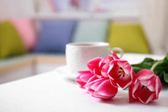 canva pink tulips on a white table MAD