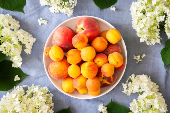 canva plate of apricots and peaches surrounded by flowers MAERU2B ZVw