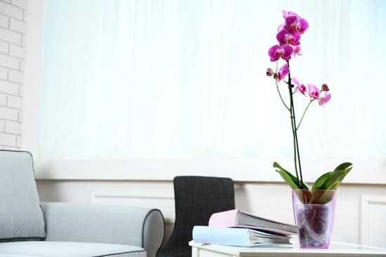 canva purple orchids on the living room copy space MAD MVkHTJs