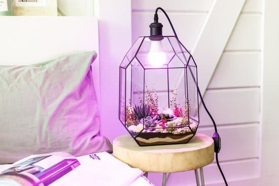 canva purple terrarium lamp on the bedside table MAEMKOfHmwI