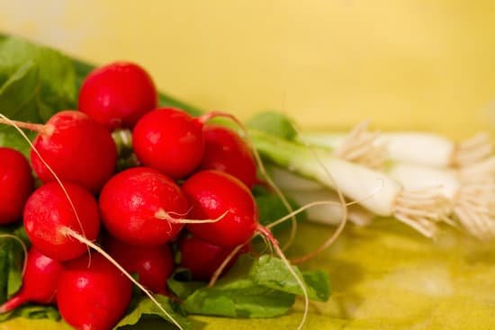 canva radishes and scallions MAEEkblqHjM
