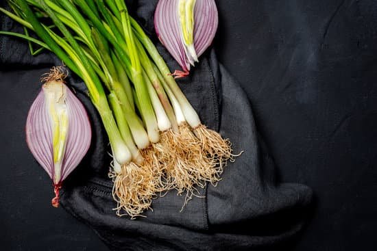 canva red onions and scallions on black cloth MAD6 2AY0ng