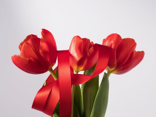 canva red tulips with ribbon on white background MAEY3G0kHmM