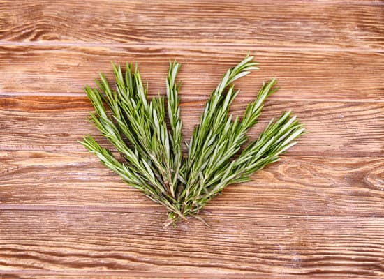 canva rosemary on a wooden board MAEPjS8j0Sg