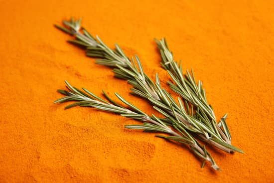 canva rosemary on orange spice background MAD Q0Koyso