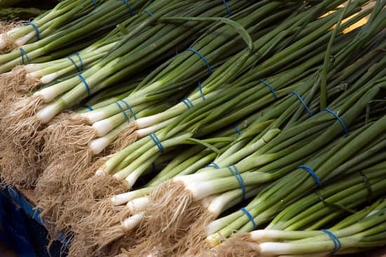 canva scallions MAC5wr9Ok3Y