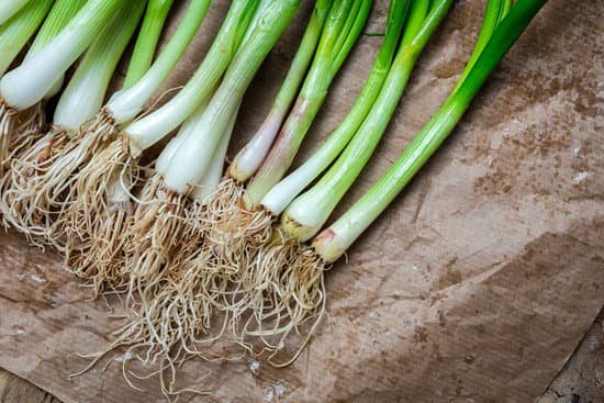 canva scallions with roots on brown paper
