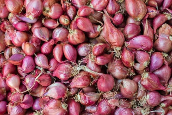 canva shallot MADAw6NIPGo