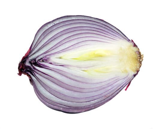 canva shallot