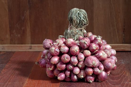 canva shallots MADAEwF62fQ