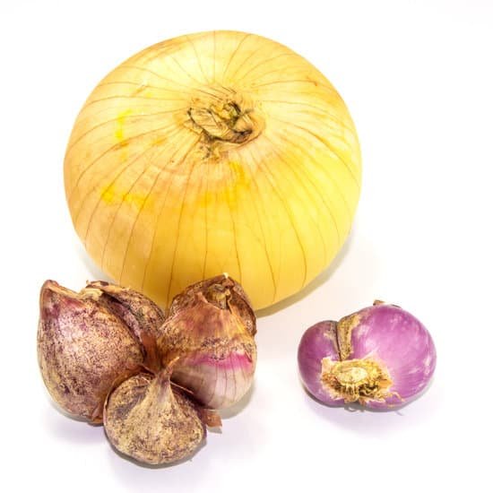 canva shallots MADBC7l5gkQ