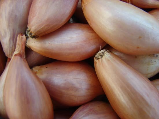 canva shallots MADBRToAi9A