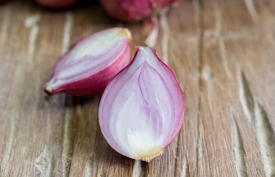 canva shallots MADBY yhlfk