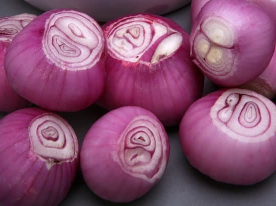 canva shallots MAEEArnDwPA