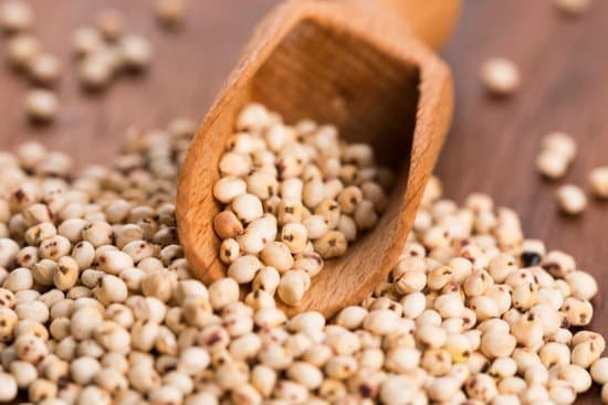 canva sorghum rice MADCYGul0ZA