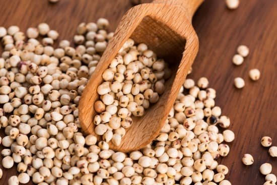 canva sorghum rice MADCYO4zEAg