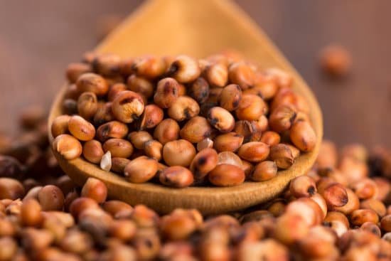 canva sorghum rice MADE53Vqg4o