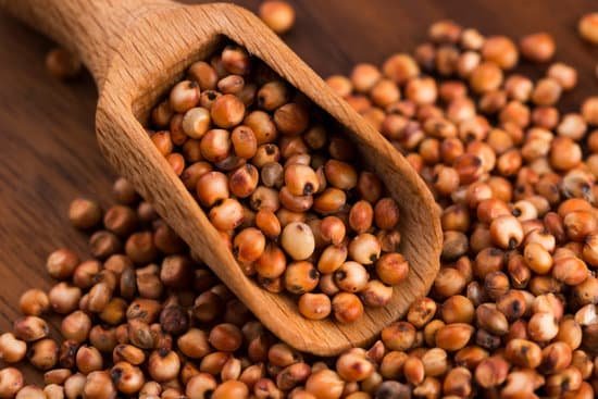 canva sorghum rice MADE5zQYeh8