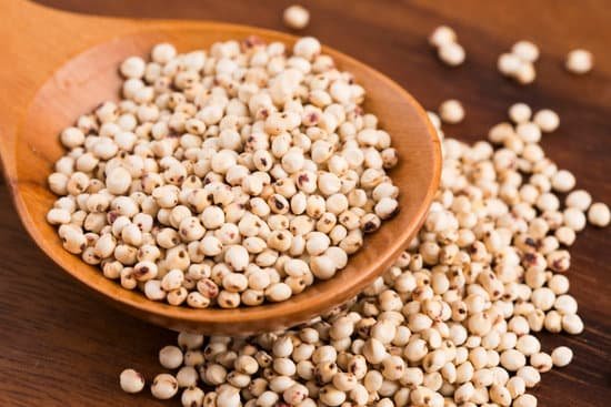 canva sorghum rice MADE6LeYAEo